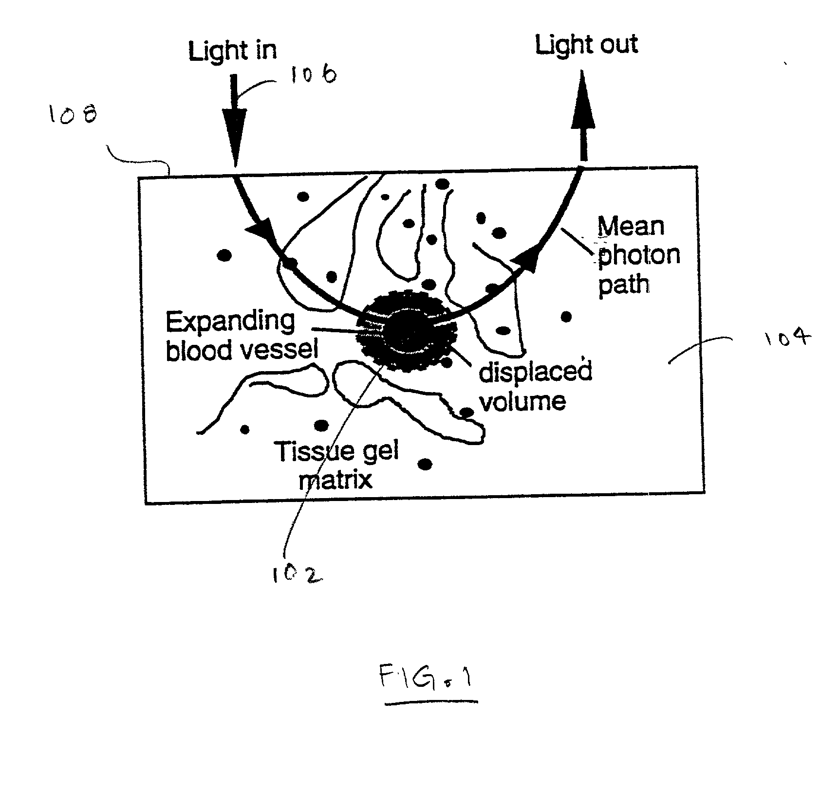 Method and apparatus for improving the accuracy of noninvasive hematocrit measurements