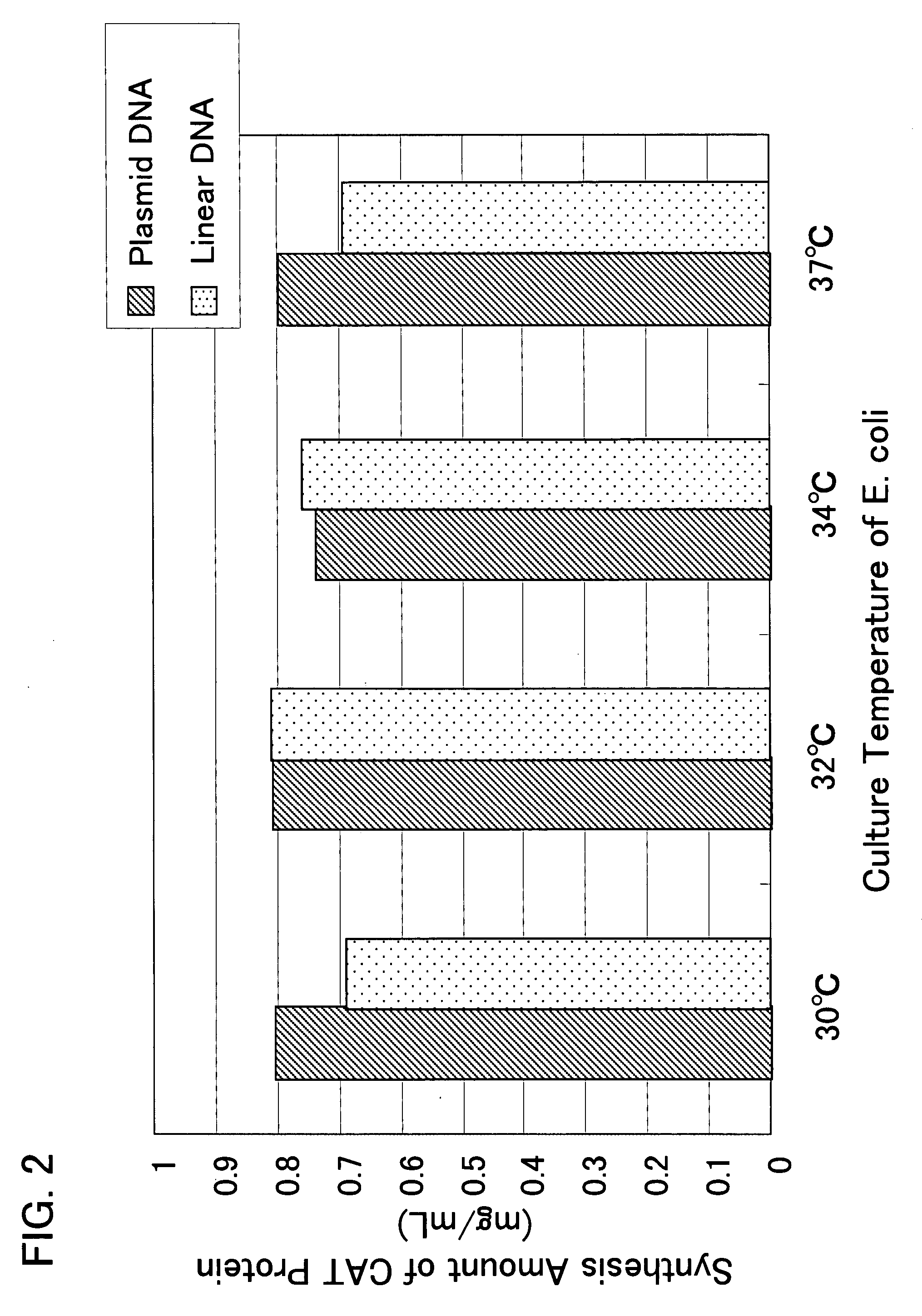 Cell-free protein synthesis method with the use of linear template DNA and cell extract therefor