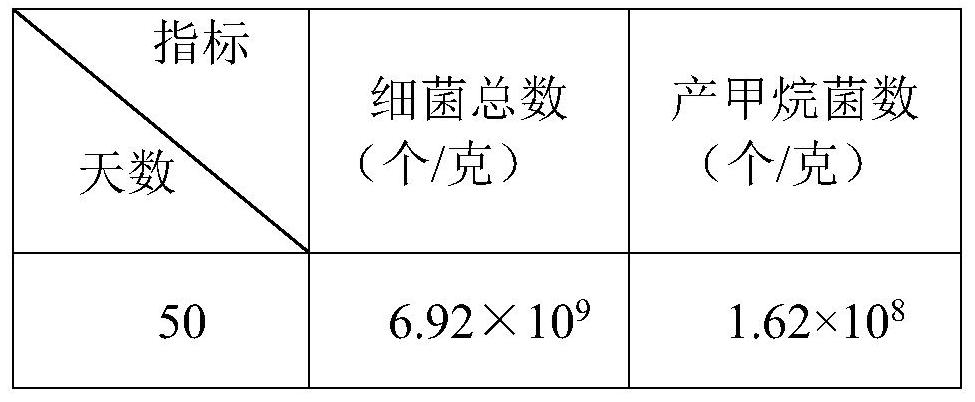 A kind of preparation method of biogas fermentation promoting bacterial agent