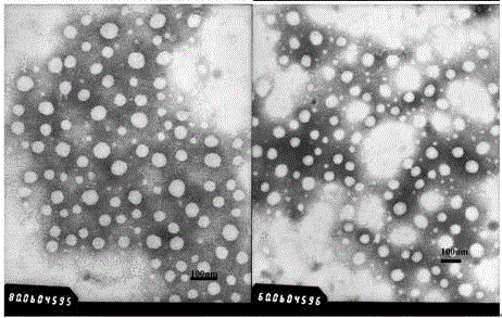 Vaccine vector based on aluminum hydoxide nano-particles