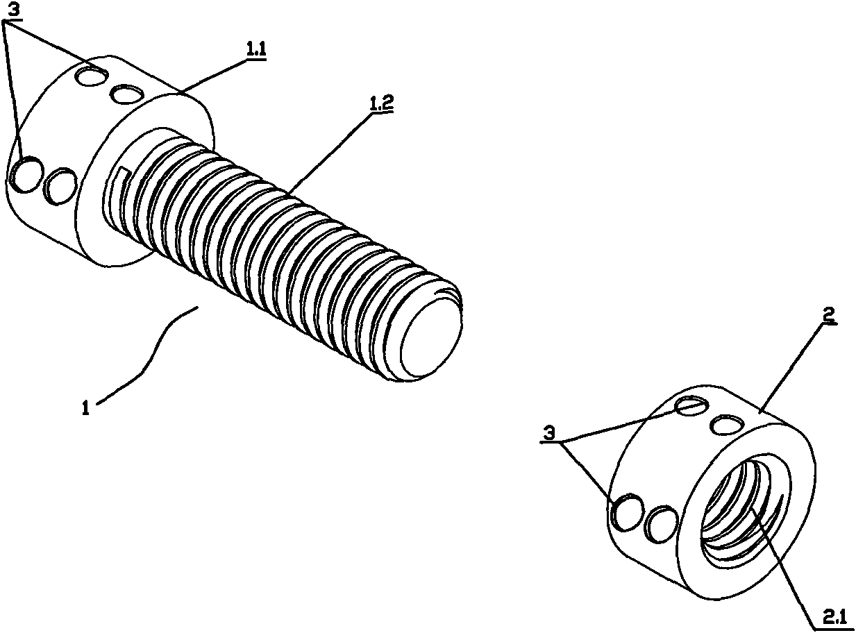 Bolt device and special spanner
