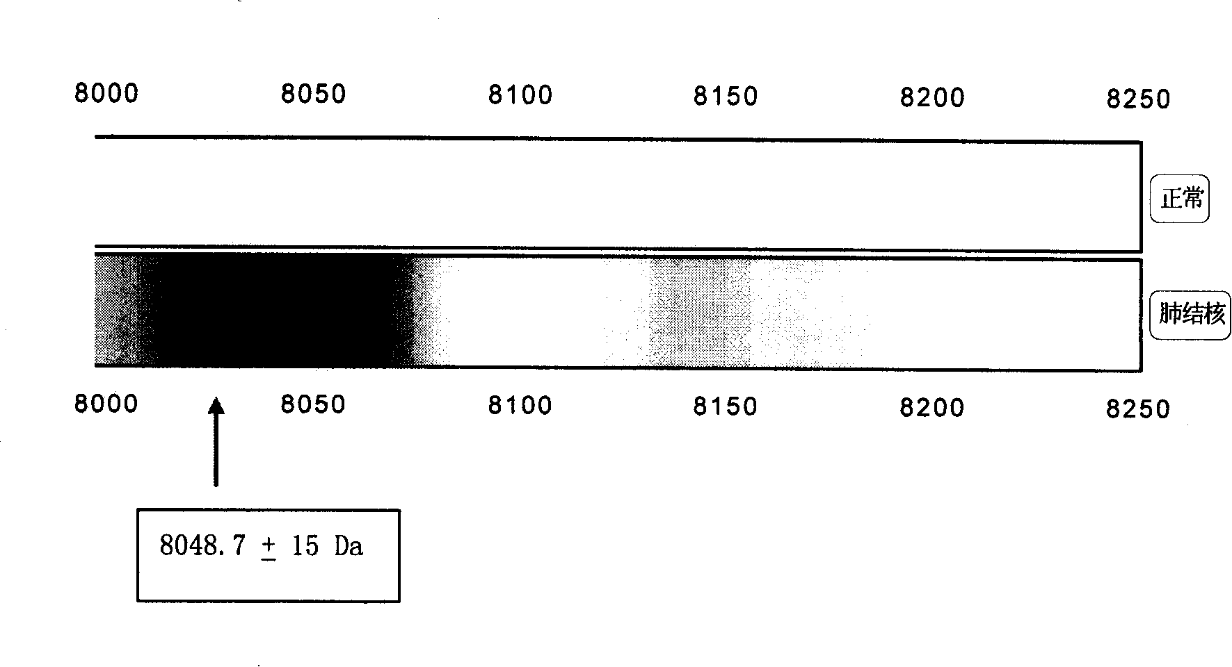 Mass spectrometry reagent kit and method for rapid tuberculosis diagnosis