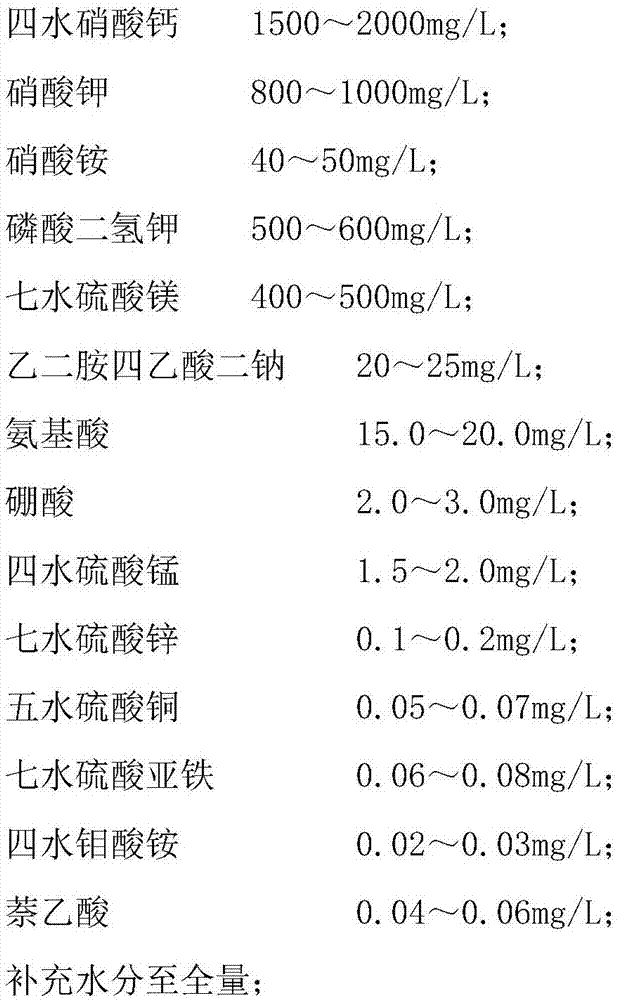 Rosa hybrida soilless culture method