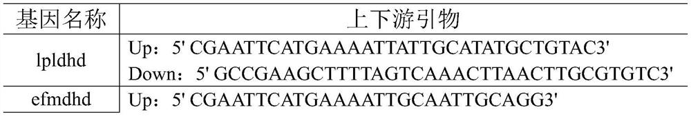 A kind of engineering bacteria and its application