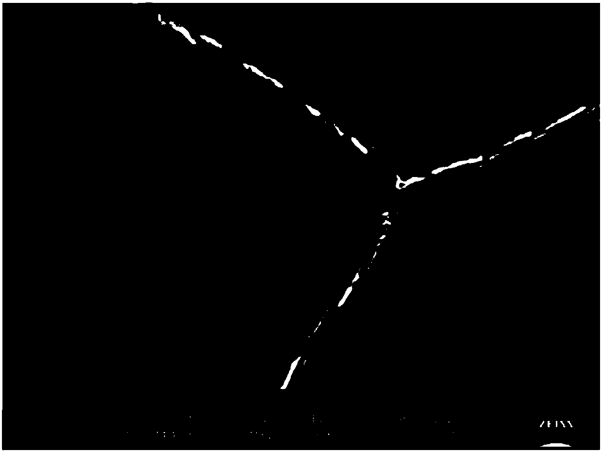 A heat-resistant austenitic stainless steel with high structural stability at 700℃