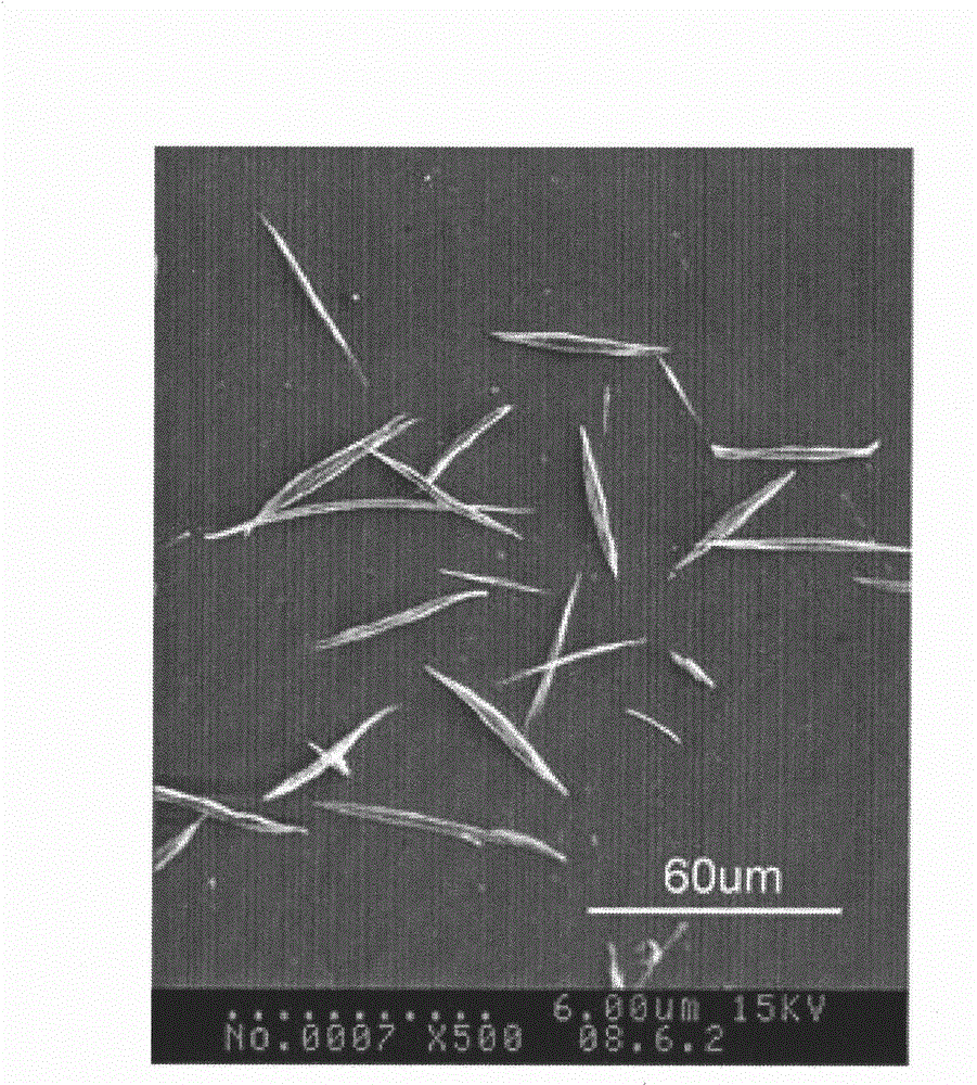 Method for separating and extracting fibrillar structure body in natural keratin fiber with organic acid solvent