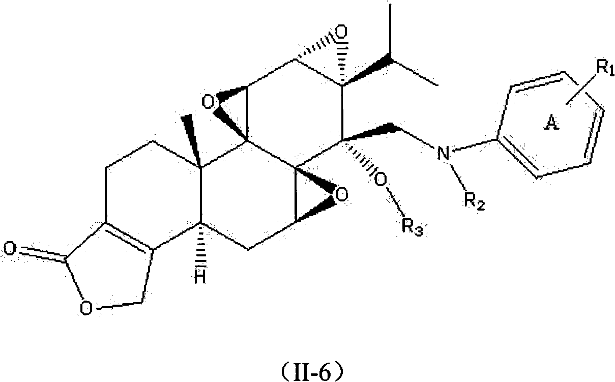 N-substituted amino phenyl-14 beta-(aminomethyl) triptodiolide derivative and preparation method and application thereof