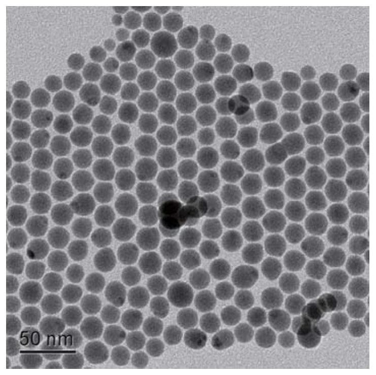 Near-infrared silver-copper-sulfur quantum dot and preparation method and application thereof