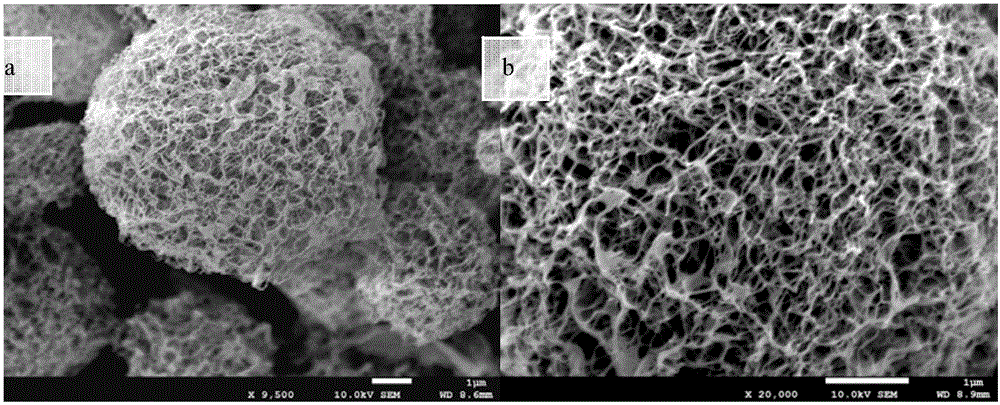 Preparation of Cellulose Nanofiber Airgel Microspheres by Ultrasonic Atomization