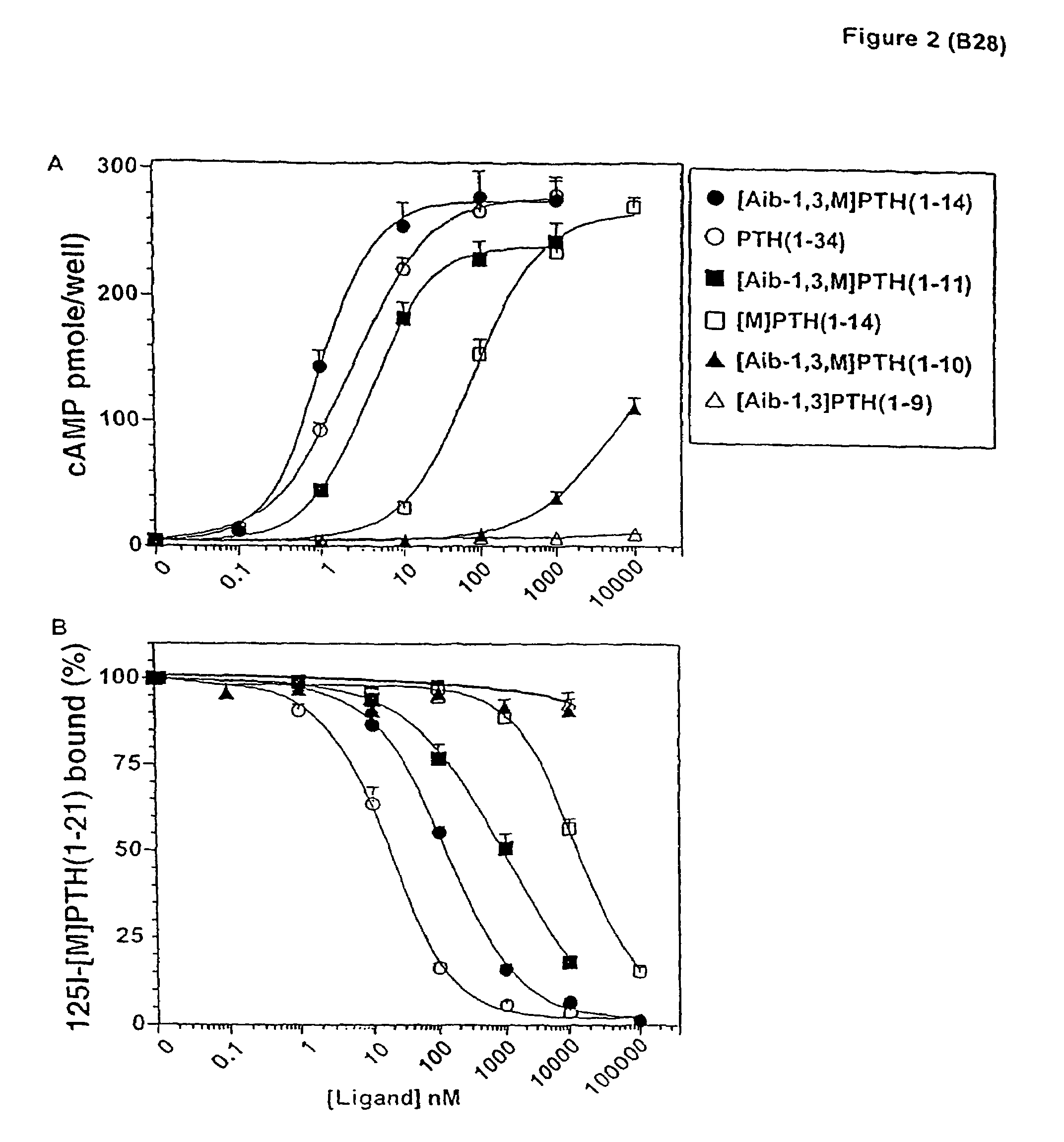 Conformationally constrained parathyroid hormone (PTH) analogs