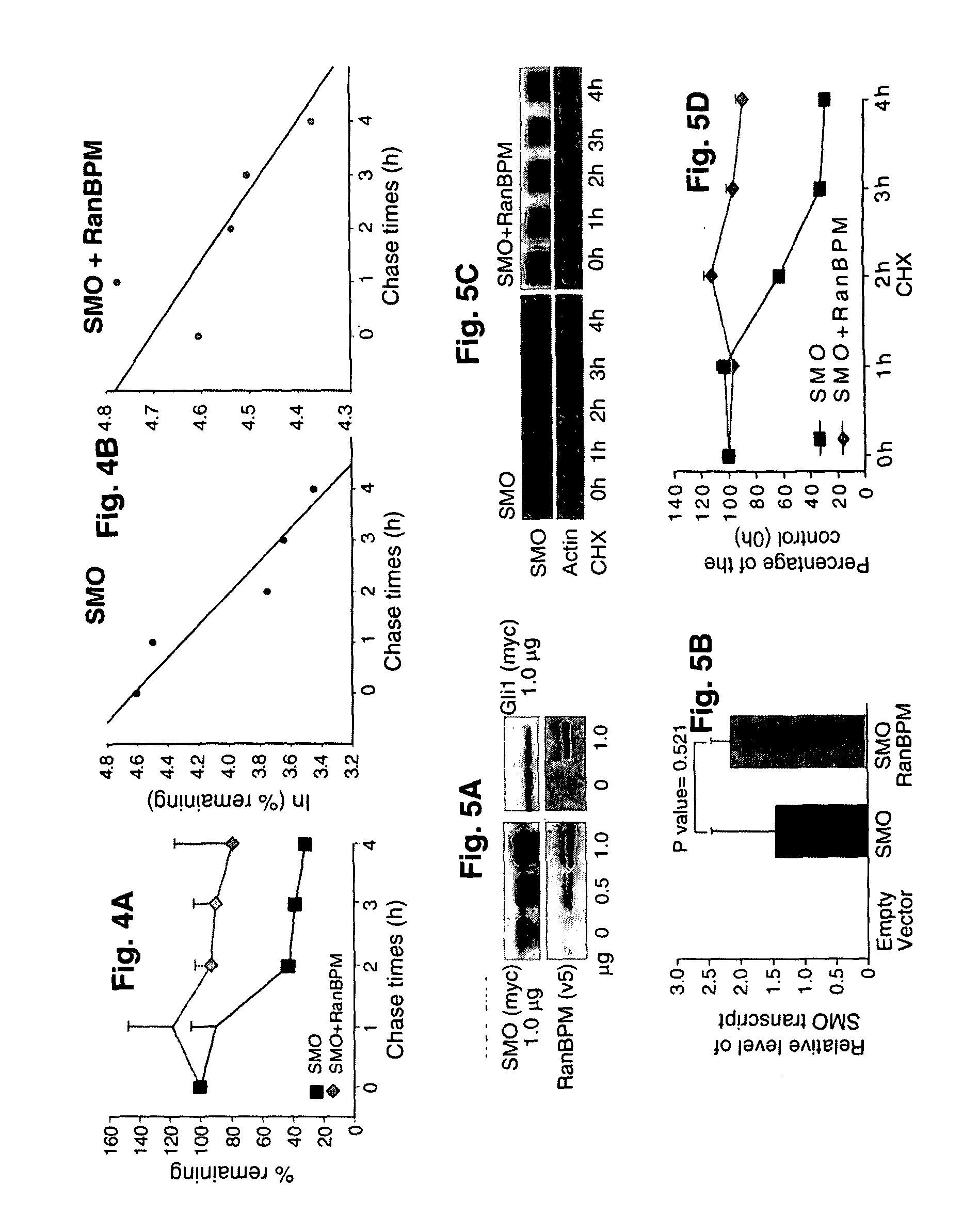 Hedgehog signaling pathway proteins and uses thereof