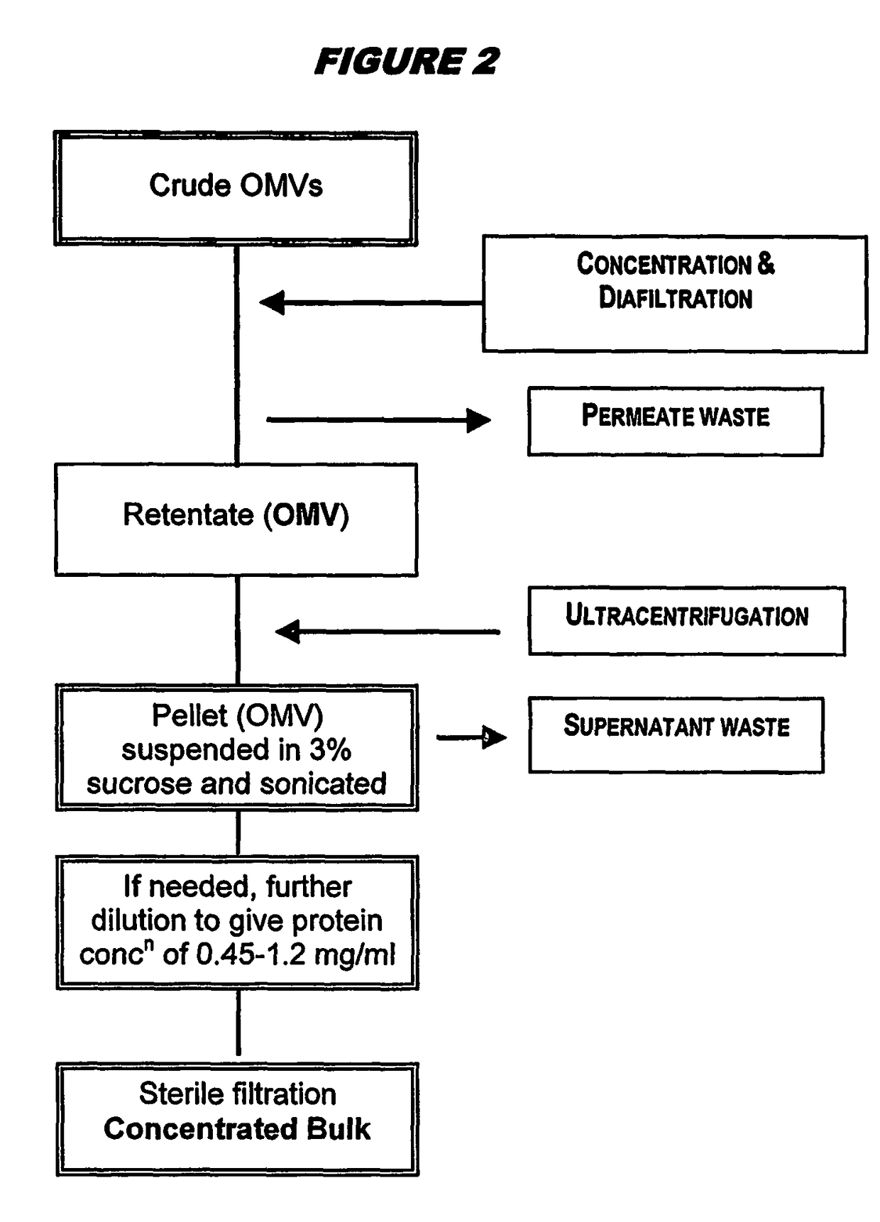 Ultrafiltration for preparing outer membrane vesicles