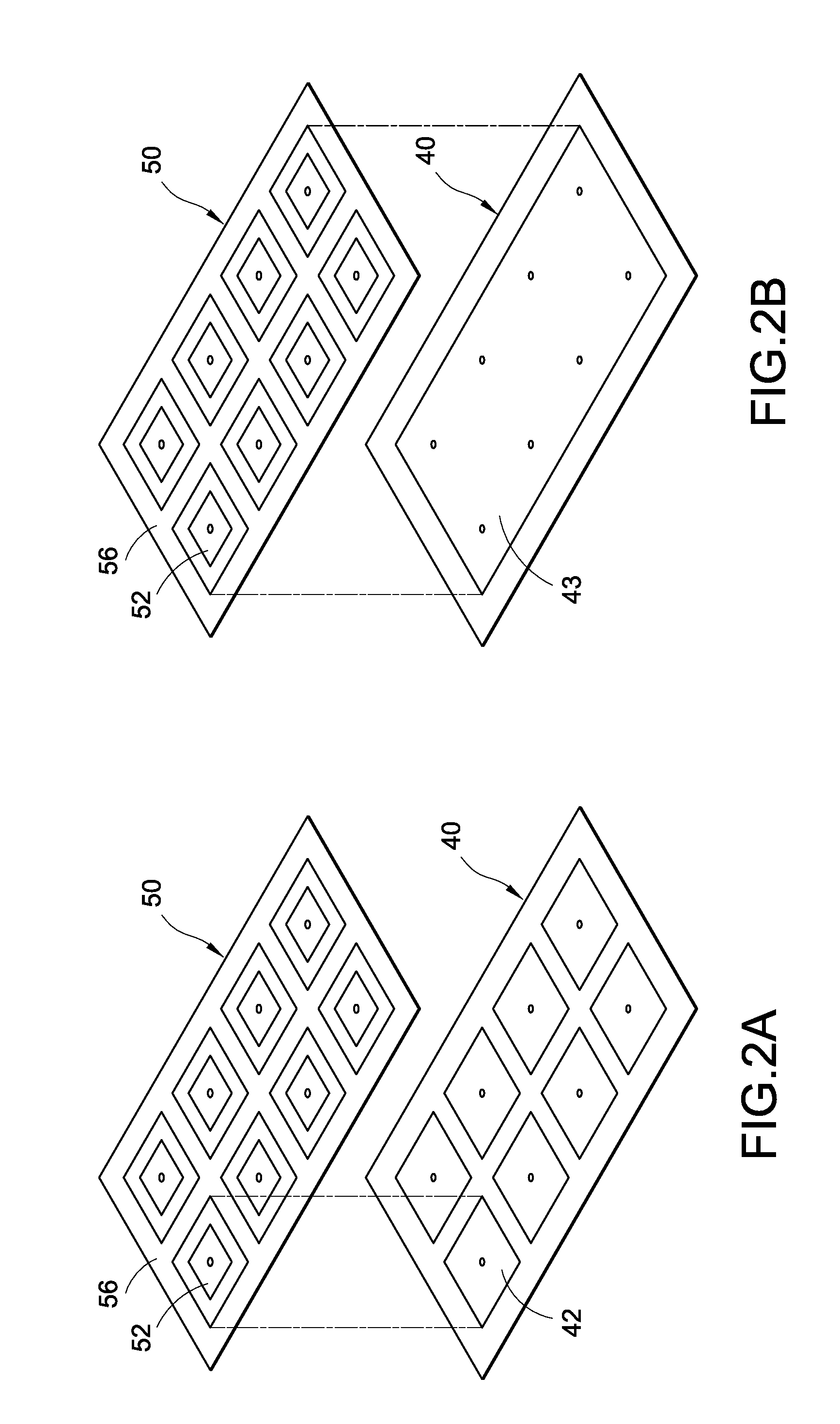 Biometric recognition apparatus with reflection-shielding electrode