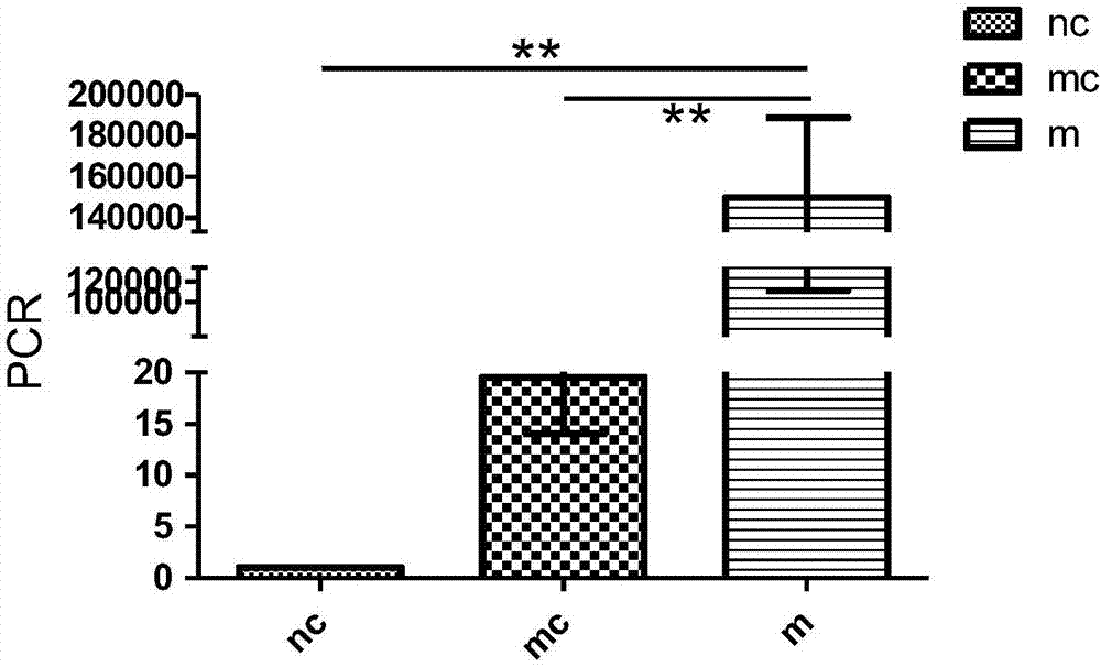 Recombinant mesenchymal stem cells and preparing method thereof