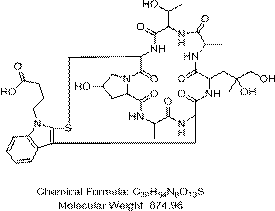 Enzyme linked immunosorbent assay kit for detecting bidens bipinnata cyclic peptide, and preparation and application thereof