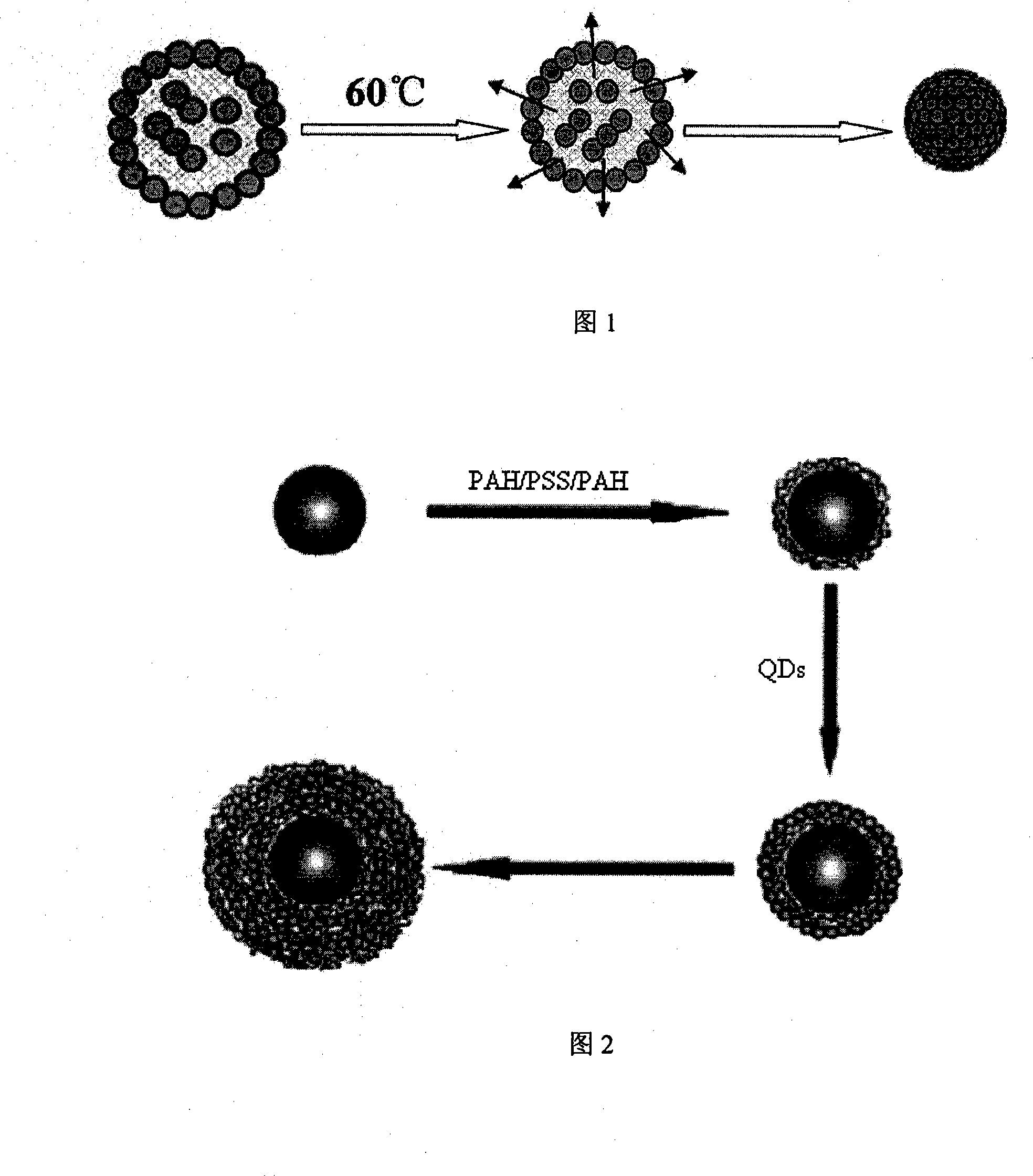 Photon crystal composite encoding microsphere and preparation method