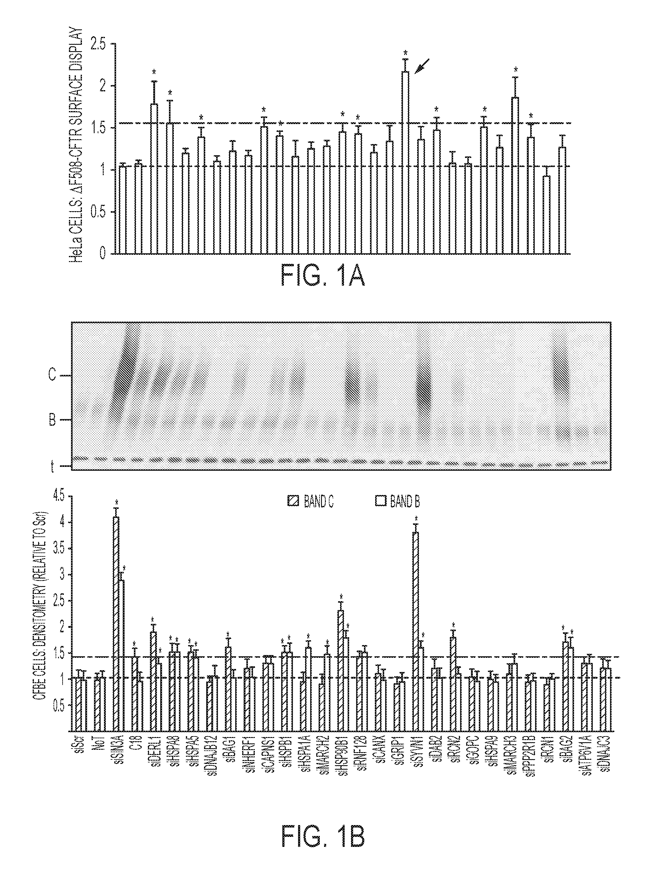 Method of regulating cftr expression and processing