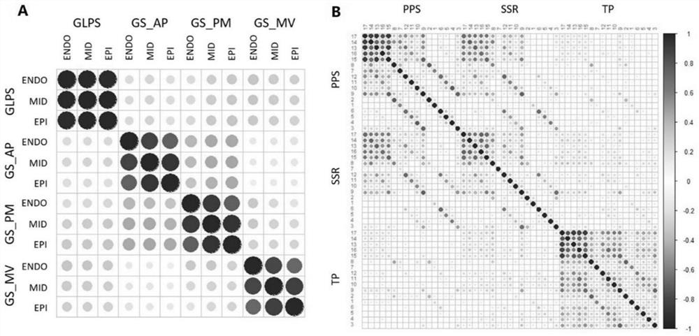 Integrated machine learning method for coronary heart disease screening based on two-dimensional spot tracking technology