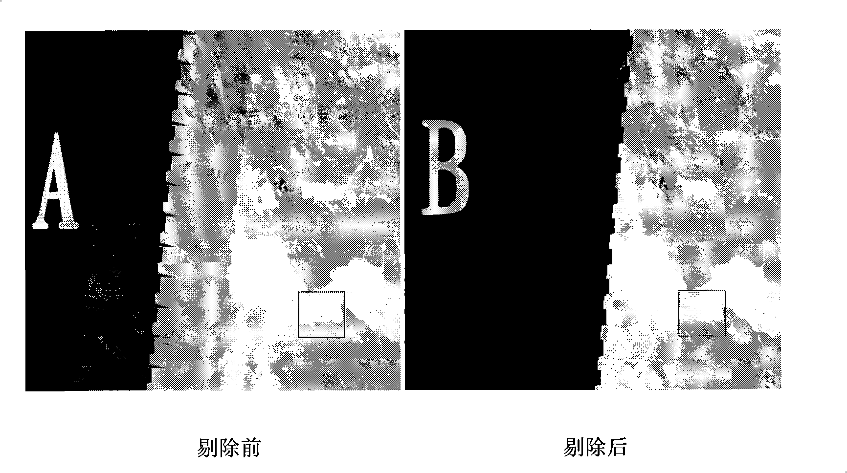 Remote sense image noise background attenuation method