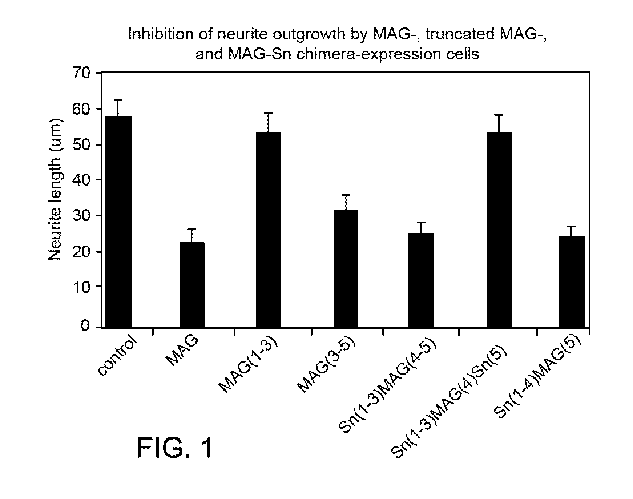 Inhibitors of myelin-associated glycoprotein (MAG) activity for regulating neural growth and regeneration