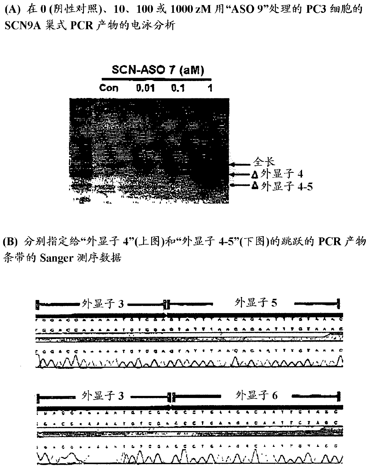 Scn9a antisense oligonucleotides