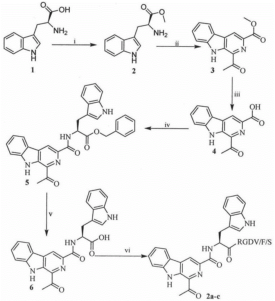 RGD tetrapeptide modified beta-carboline acyl-tryptophan and preparation, nanostructure, activity and application thereof