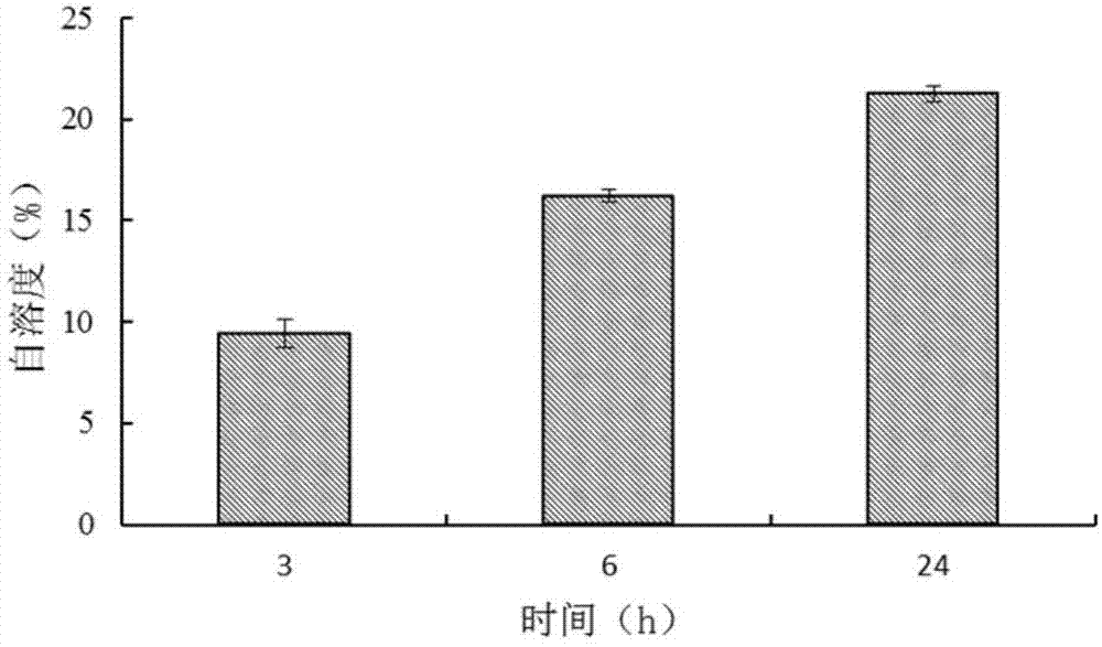 Lactobacillus plantarum with high aminotransferase activity and application of lactobacillus plantarum in cheese