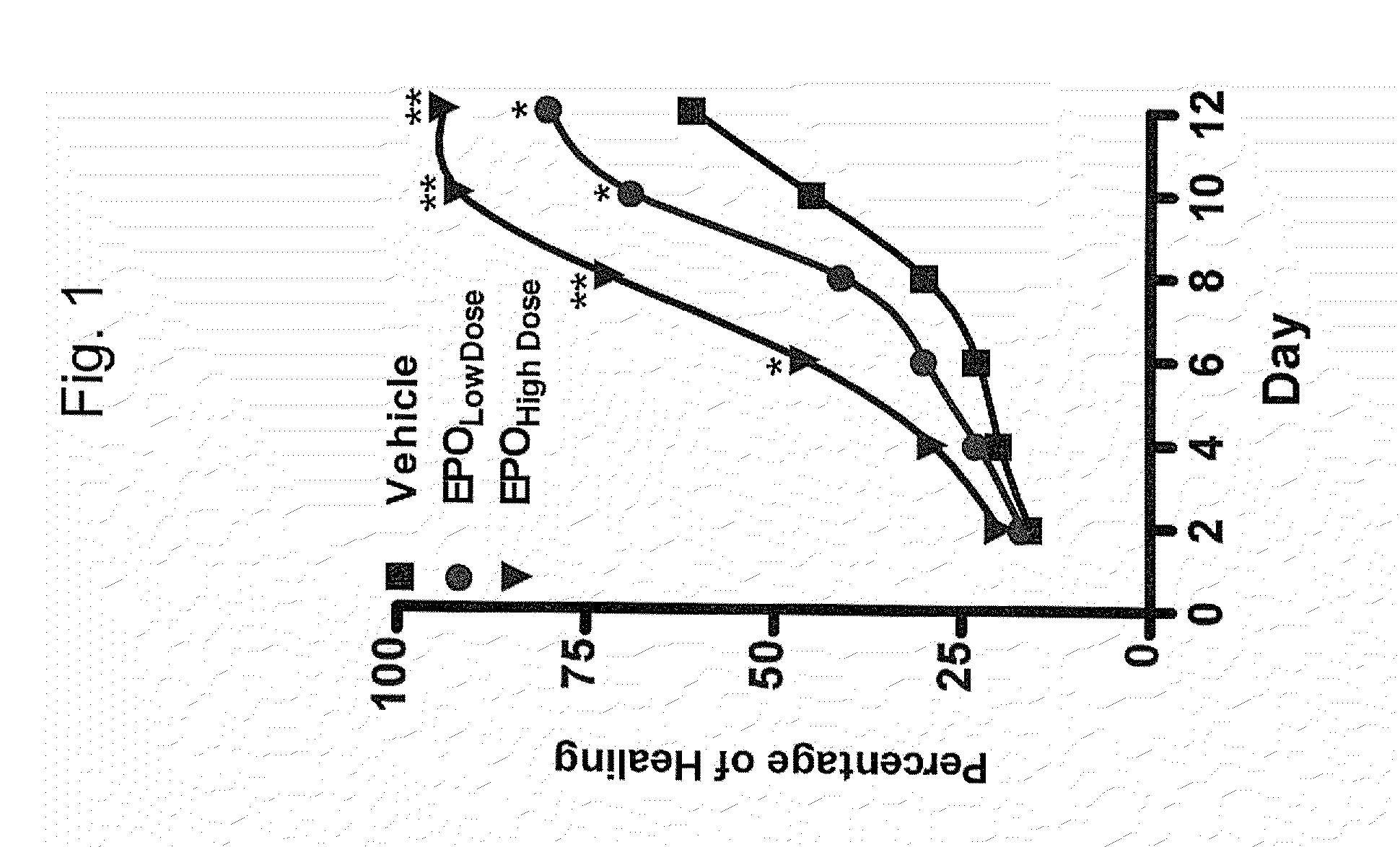 Erythropoietin and fibronectin compositions for therapeutic and cosmetic applications