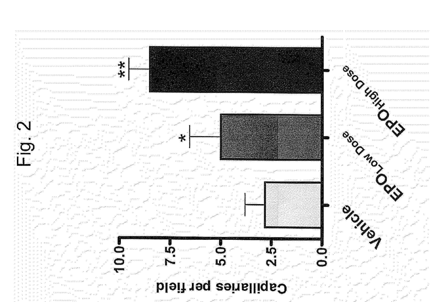 Erythropoietin and fibronectin compositions for therapeutic and cosmetic applications