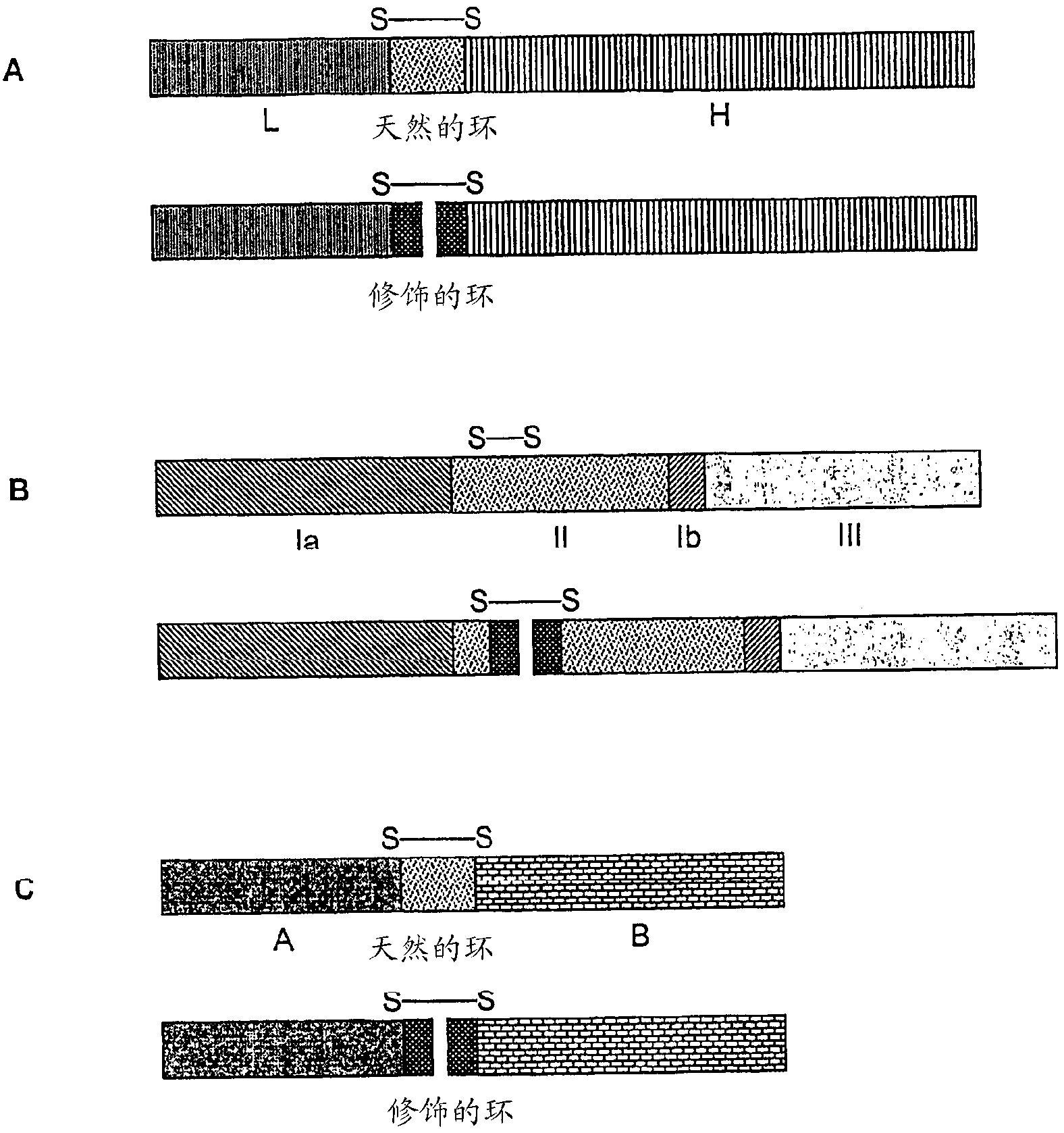 Recombinant expression of proteins in a disulfide-bridged, two-chain form