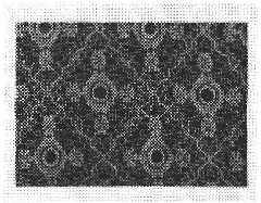 Warp knitting fabrics having ground organization expressing various design patterns