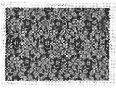Warp knitting fabrics having ground organization expressing various design patterns