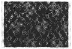 Warp knitting fabrics having ground organization expressing various design patterns