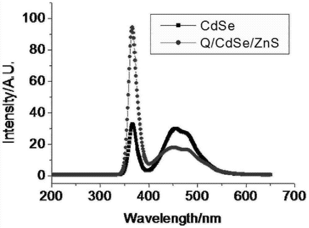A quercetin antibacterial drug modified by cdse/zns quantum dots and its preparation method