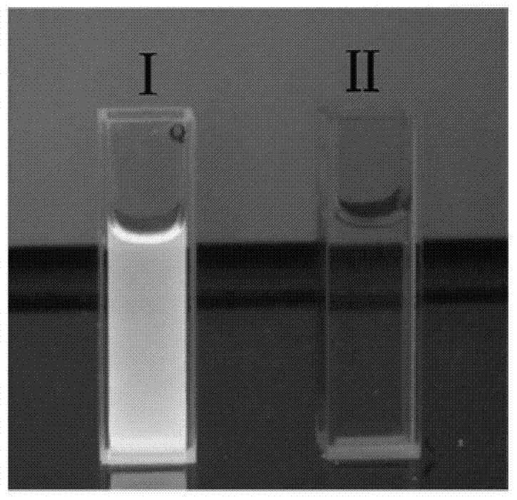 A quercetin antibacterial drug modified by cdse/zns quantum dots and its preparation method