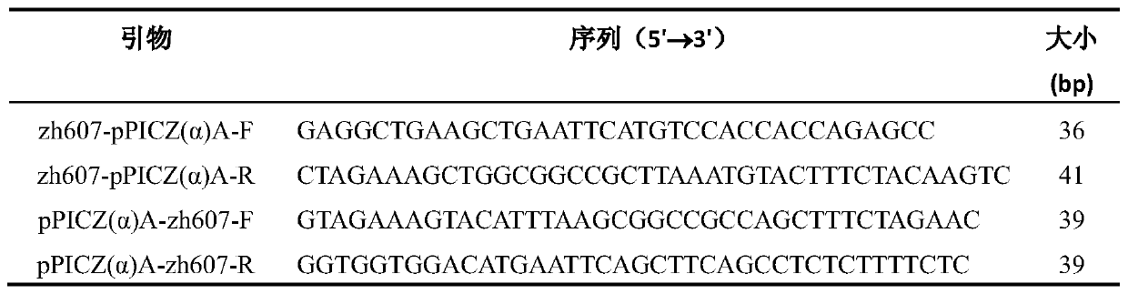 Zearalenone hydrolase mutant ZHDM1, and encoding gene and application thereof