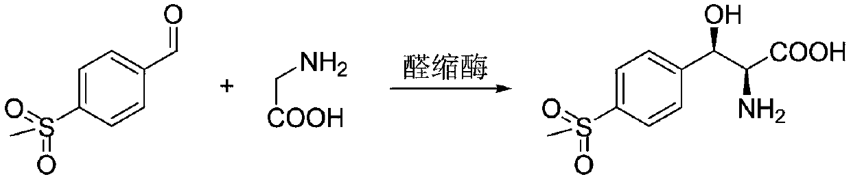 Method for preparing chiral (2S,3R)-p-methyl sulfone phenyl ethyl serinate