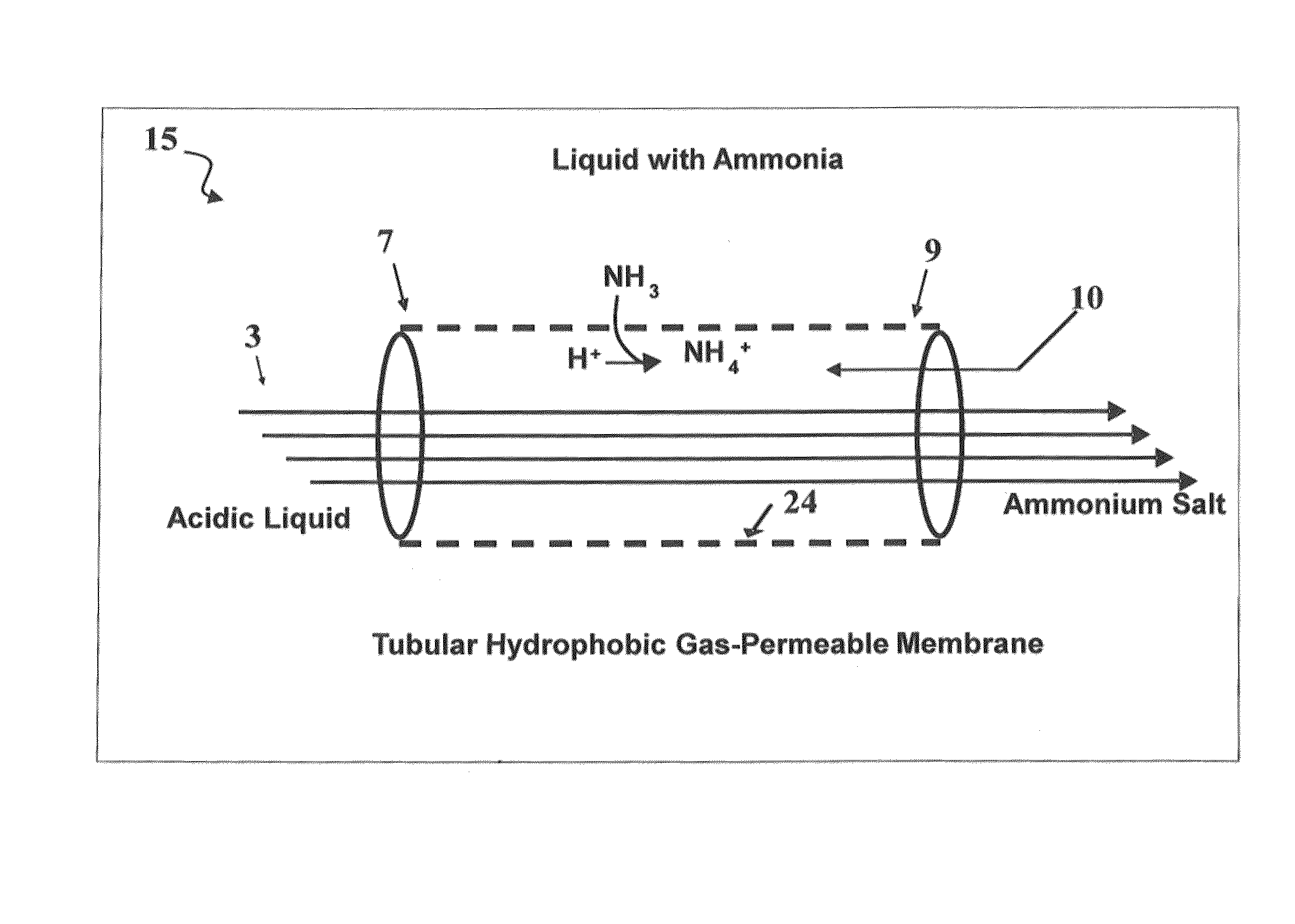 Systems and methods for reducing ammonia emissions from and for recovering the ammonia liquid effluents