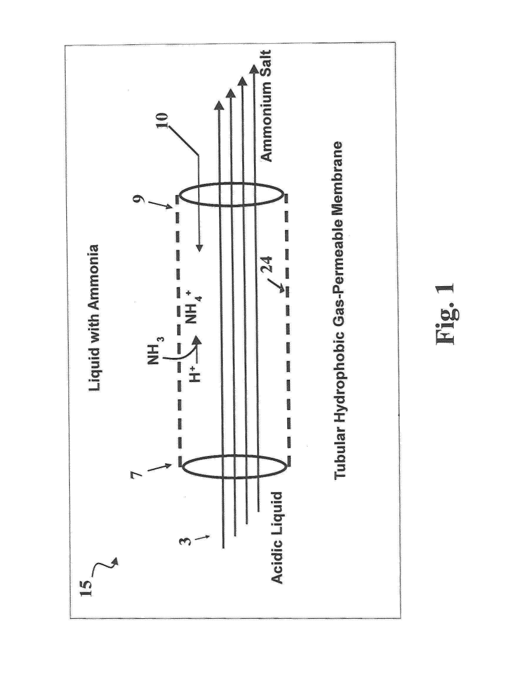 Systems and methods for reducing ammonia emissions from and for recovering the ammonia liquid effluents