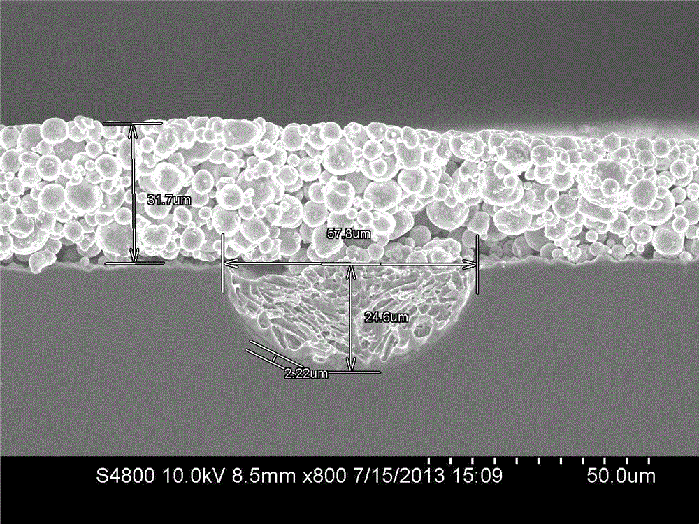 Manufacturing process of a biomimetic double-sided light-receiving solar cell