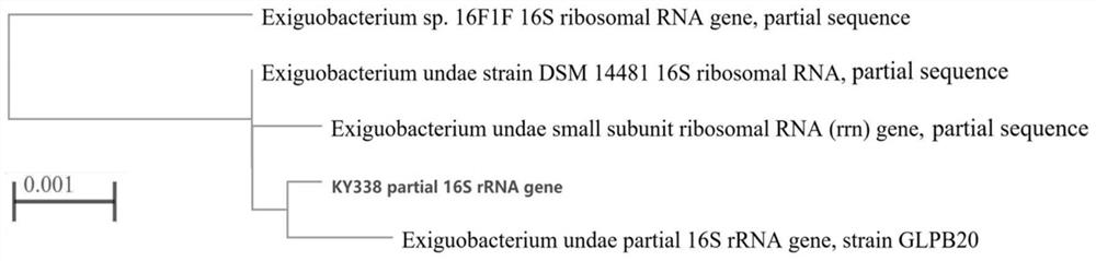 Microbacterium waters mb338 and its application