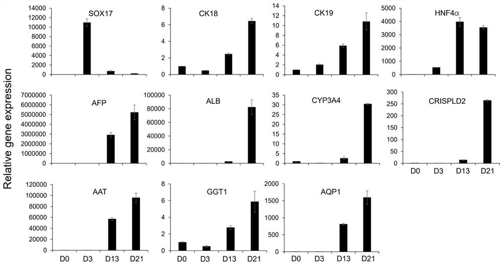 Method for differentiating and inducing stem cells into hepatocytes