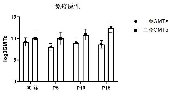 Coxsackie virus A10 type strain and vaccine and application thereof