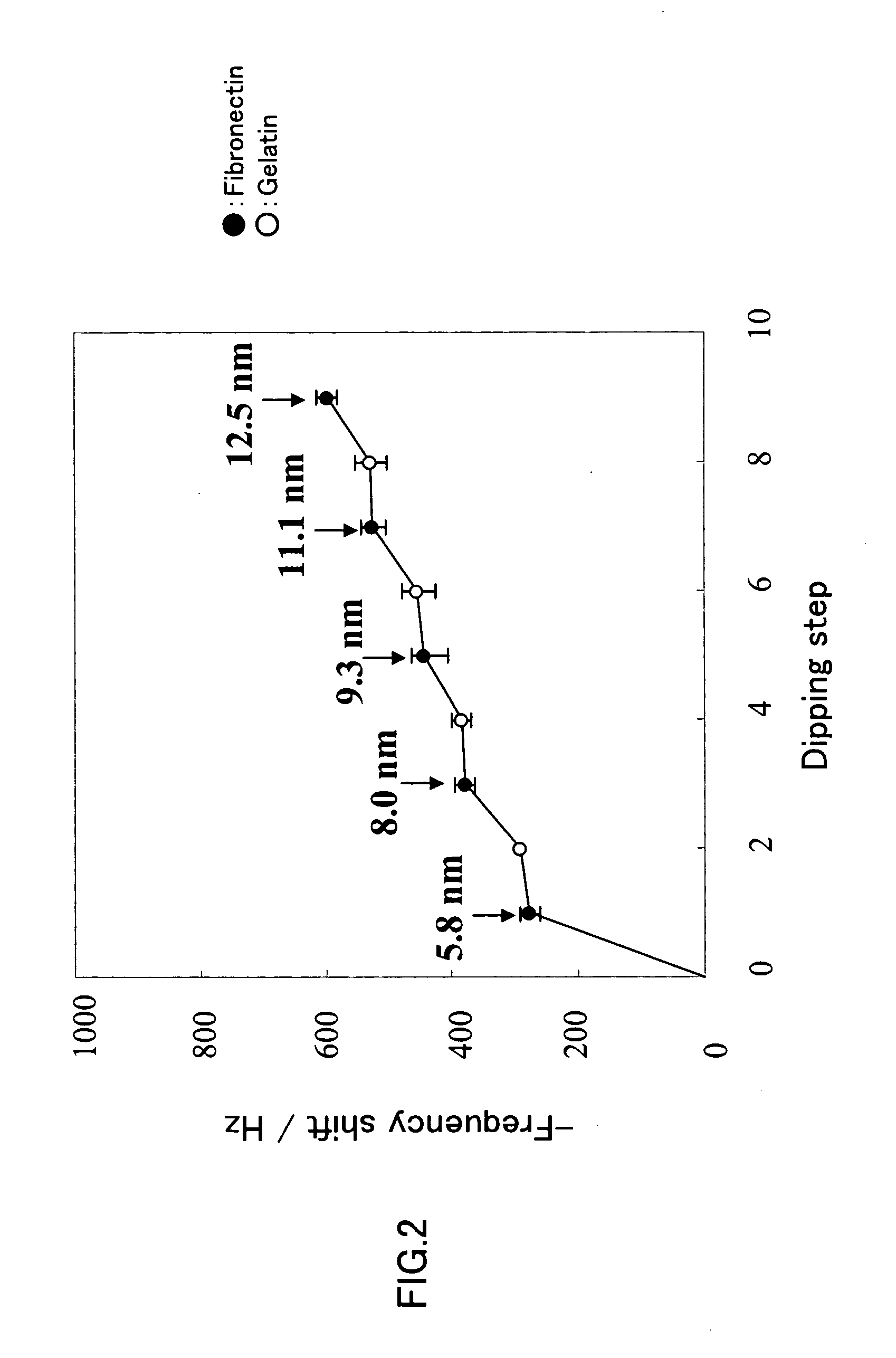 Method of producing three-dimensional tissue and method of producing extracellular matrix used in the same