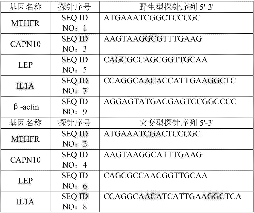 Susceptible gene chip used for detecting type II diabetes associated with organophosphorus pesticides