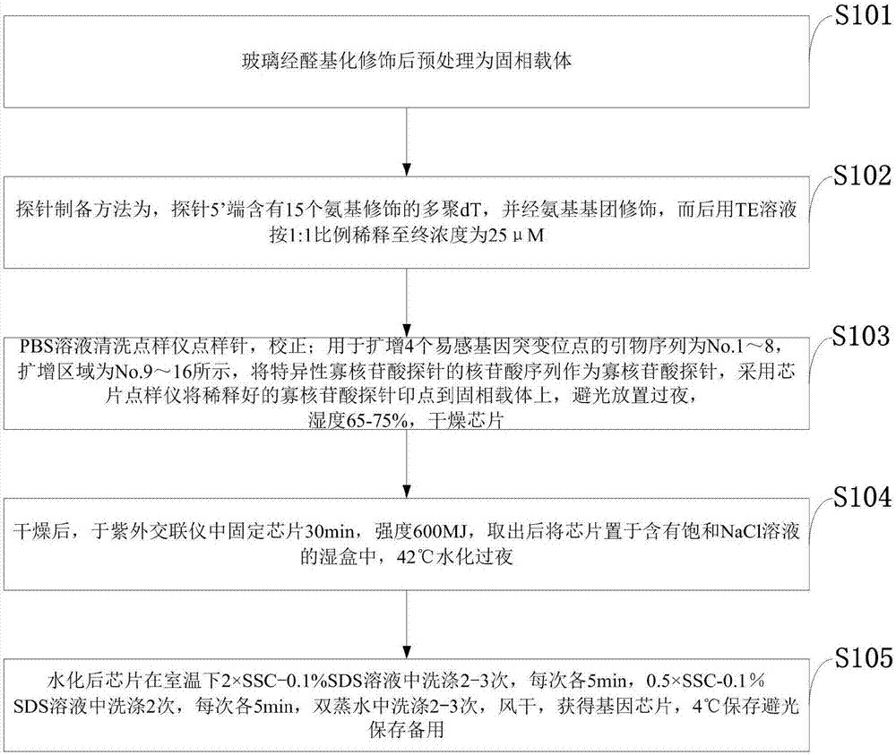 Susceptible gene chip used for detecting type II diabetes associated with organophosphorus pesticides