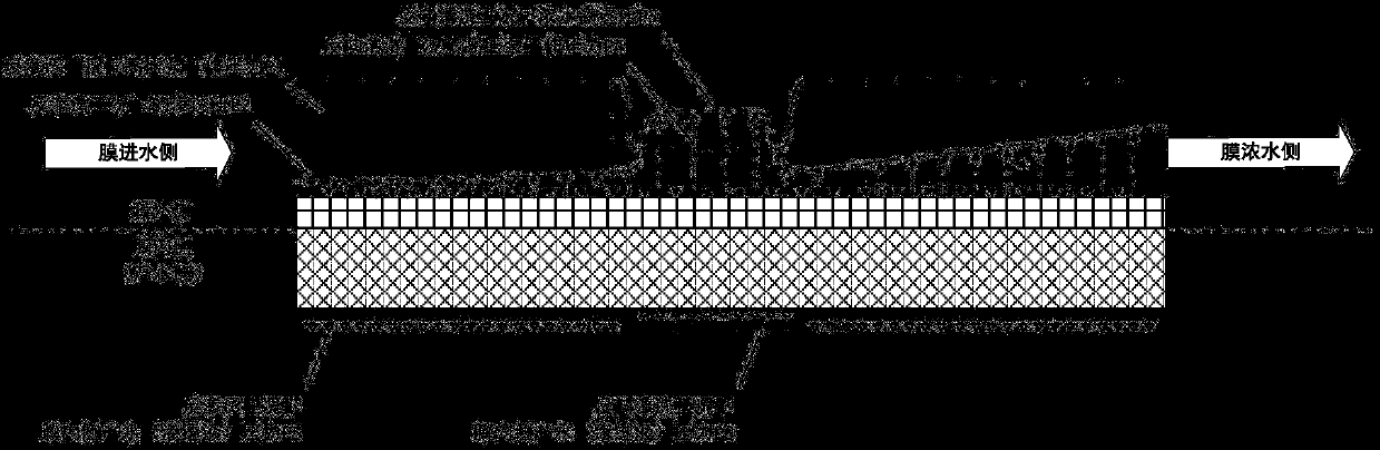 A high osmotic pressure online reverse cleaning method and device for nanofiltration and reverse osmosis membranes