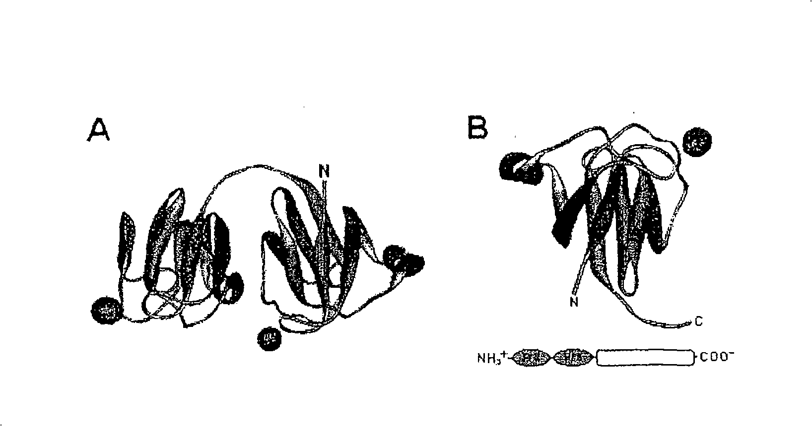 The use of protein S fusion for protein solubilization