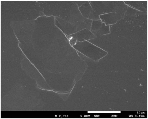 Nylon elastomer nano composite material and preparation method thereof