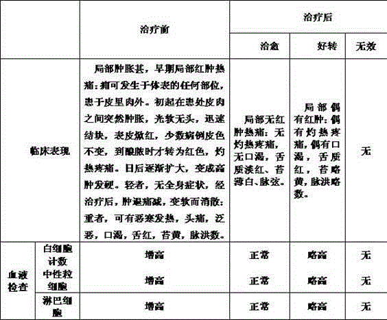 Preparation method of traditional Chinese medicine lotion for treating swelling type cellulitis